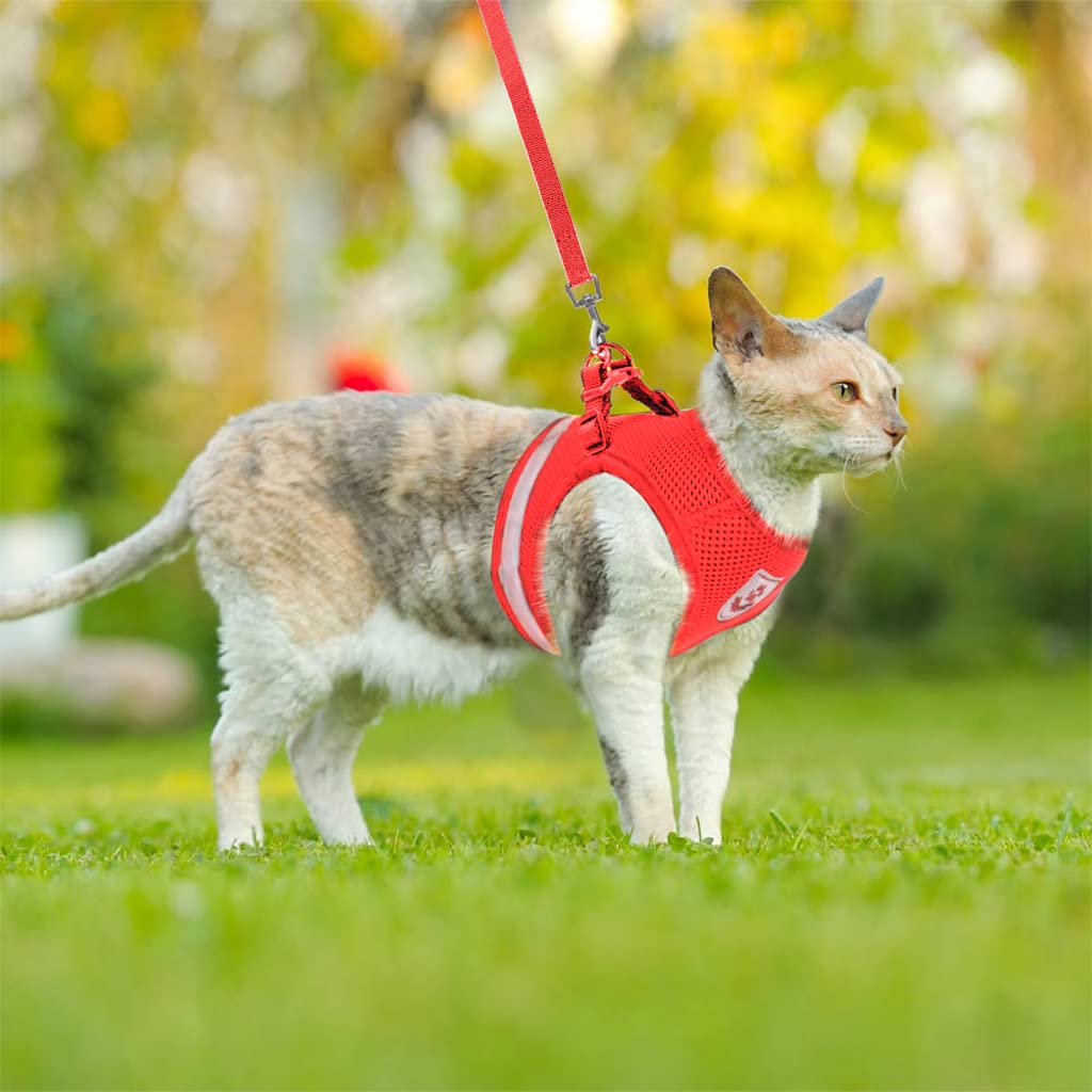 Qpets Cat Harness with 1.2m Dog Leash Adjustable Size Cats Vest Harness Breathable Mesh Fabric with Safety Reflective Strip Dog Harness for Cat Small Dog(M, Red) Qpets Cat Harness with 1.2m Dog Leash Adjustable Size Cats Vest Harness Breathable Mesh Fabric with Safety Reflective Strip Dog Harness for Cat Small Dog(M, Red)